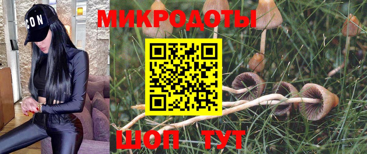 Карталы  Псилоцибиновые грибы мицелий  Вход с VPN 